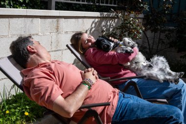 Baba, kız ve köpek hamakta güneşleniyor. Kız, Cocker Spaniels 'i kollarında tutuyor ve baba onlara şefkatle bakıyor..