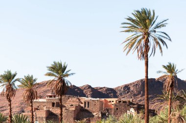 Fas 'ın kayalık çölünde vaha. Kerpiç yapımı, Fas 'ta tipik bir malzeme. Birkaç palmiye ağacı evi koruyor. Arka planda küçük kayalık dağlar. Boşluğu Kopyala