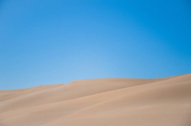 Fas Çölü boyunca uzanan yumuşak kum tepecikleri canlı mavi gökyüzünün altında doğal dokular ve kontrastlar sergiliyor...