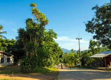 Kırsaldaki küçük beton yolda.