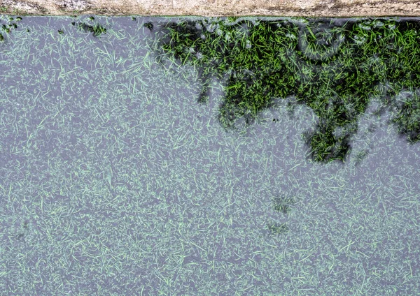 人工芝サッカー場の境界上の浸水した水面の木の反射 — ストック写真