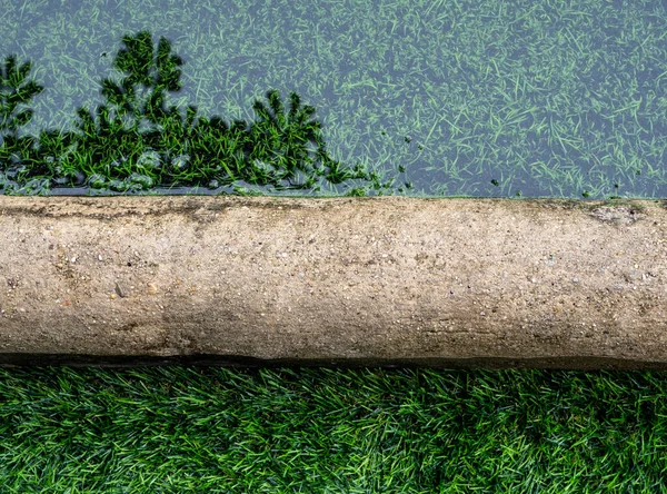 Reflexo Árvore Superfície Água Inundação Fronteira Campo Futebol Grama Artificial — Fotografia de Stock