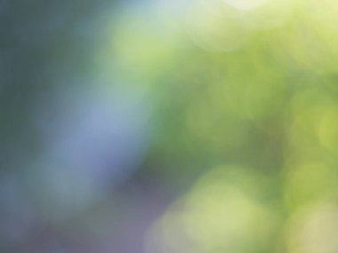 Işıklar ve yeşil bokeh doğanın soyut bulanık arka planında. Açık hava bokeh doğal sarı ve yeşil tonlarda soyut arkaplan