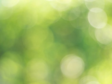 Işıklar ve yeşil, doğanın bulanık arka planında sarı bokeh. Açık hava bokeh doğal sarı ve yeşil tonlarda soyut arkaplan