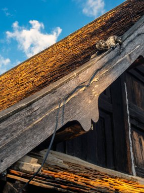 Annemin heykeli Tayland 'ın kuzeyindeki tapınak binasının çatısında. 