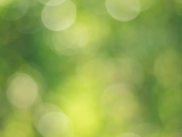 Licht Groen Met Gele Bokeh Natuur Defocus Abstracte Wazige Achtergrond — Stockfoto