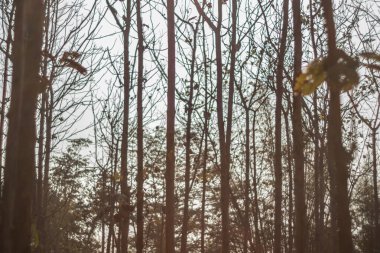 Park yerinin arka plan olarak parlak zemininin odak bulanıklığı