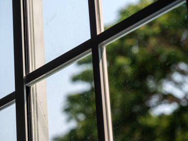 Pencere camı, pencereden dışarı bakıyor, büyük bir ağaç görüyor.