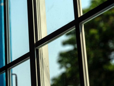 Pencere camı, pencereden dışarı bakıyor, büyük bir ağaç görüyor.