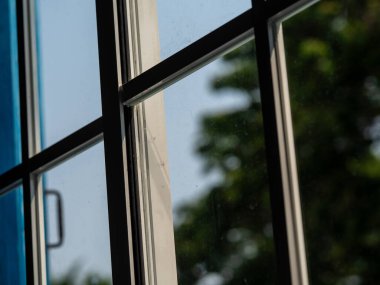 Pencere camı, pencereden dışarı bakıyor, büyük bir ağaç görüyor.