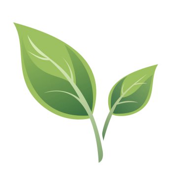 Canlı renklere ve doğal tasarım elementlerine sahip yeşil yaprakların tasviri