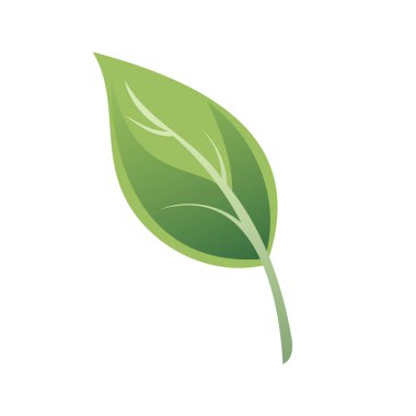 Tasarım için canlı renkler ve doğal dokular gösteren ayrıntılı yeşil yaprak çizimi