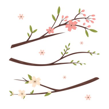 Süslü kiraz dalları pembe ve beyaz çiçekler ve yeşil yapraklar, düz stil, bahar güzelliği