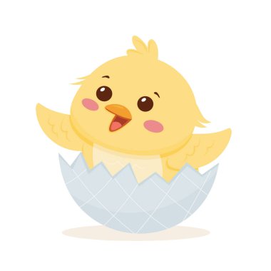 Kırık bir yumurtadan çıkan civciv neşeli bir ifadeyle ve uzanan kanatlarıyla