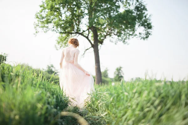 Vue arrière de la mariée en robe blanche dans la forêt de grees — Photo