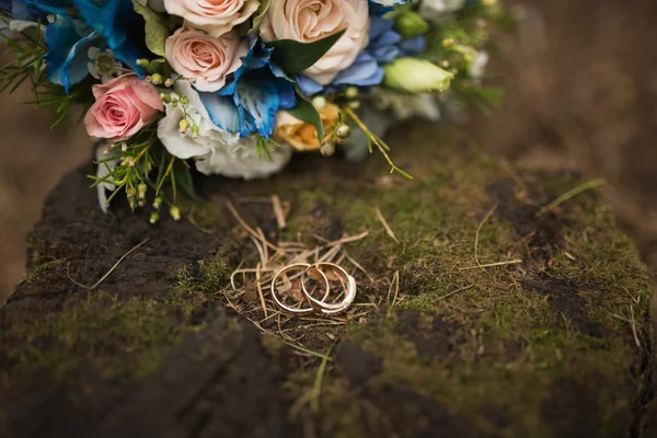 Dos anillos de boda en el árbol — Foto de Stock