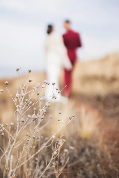 Casal recém-casado desfocado andando no campo . — Fotografia de Stock