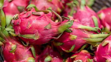Pitaya. Ejderha meyvesi. Büyük Pembe Pitaya Ejder Meyveleri