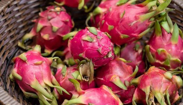 Pitaya.Dragon fruit. Big Bunch of Pink Pitaya Dragon Fruits