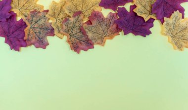 Yerde yatan, sonbahar yapraklarının pürüzsüz deseni. Sonbahar kavramı kopyalama alanı ile bırakır