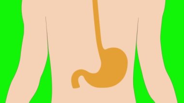 Mide asidinin canlandırılması, mide reflüsü.