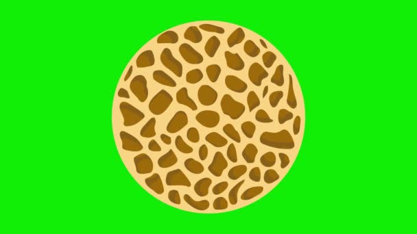 Animación Estructura Esponjosa Ósea Normal Con Osteoporosis — Vídeos de Stock