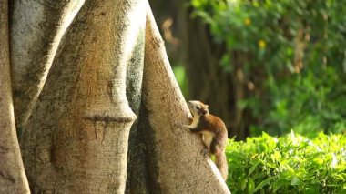 Zaman Hızı - Hareketli bulut