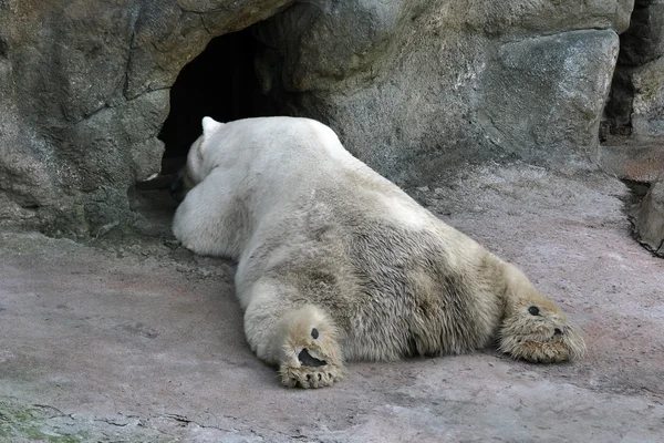 Ik kruipen, maar ik zal de nacht thuis doorbrengen — Stockfoto