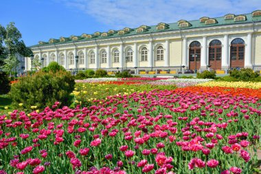 Moskova Alexander bahçesinde kare