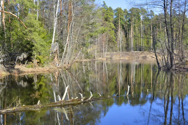 Primavera sul fiume — Foto Stock