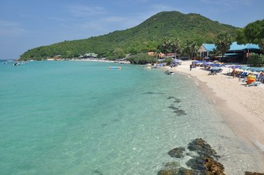 Tayland Ko Lan Adası Plajı