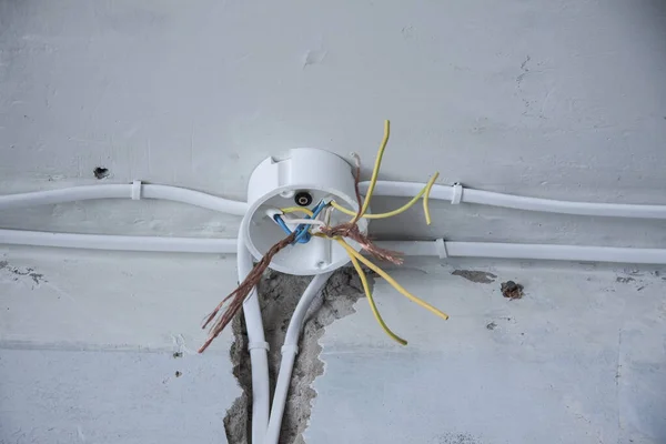 Electrical wiring, wiring, on a plastered wall.