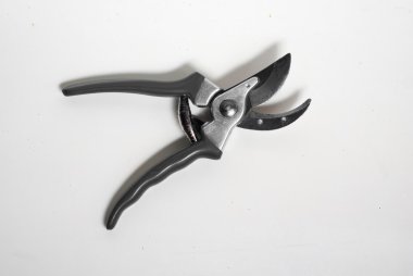 Beyaz arka plan üzerinde Bahçe secateurs