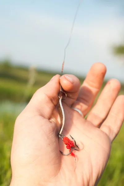 Çim zemin üzerine elinde yırtıcı balık yakalamak için yem — Stok fotoğraf