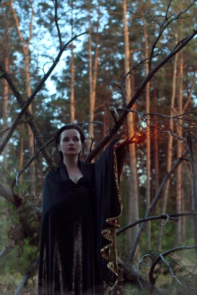 A young witch in the woods, a woman in a dark dress on a background of old branches, — Stock Photo, Image