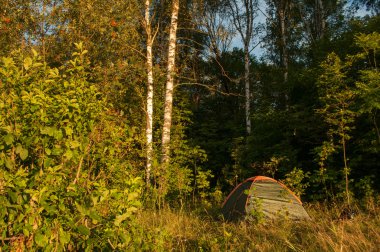 bir orman içinde çadır,