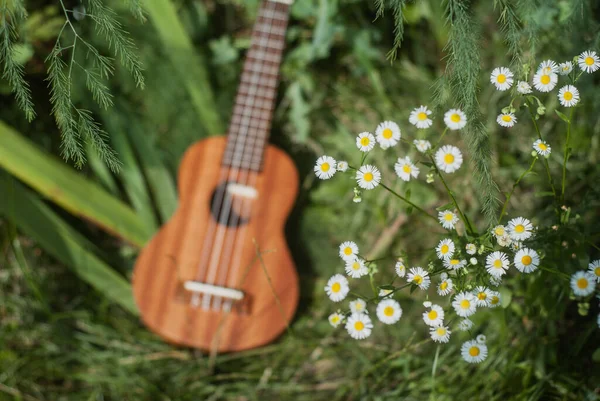 Ukulele a vadvirágok, nyári fotó egy ukulele — Stock Fotó