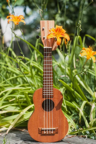 Ukulele σε άγρια λουλούδια, καλοκαιρινή φωτογραφία ενός γιουκαλίλι Φωτογραφία Αρχείου