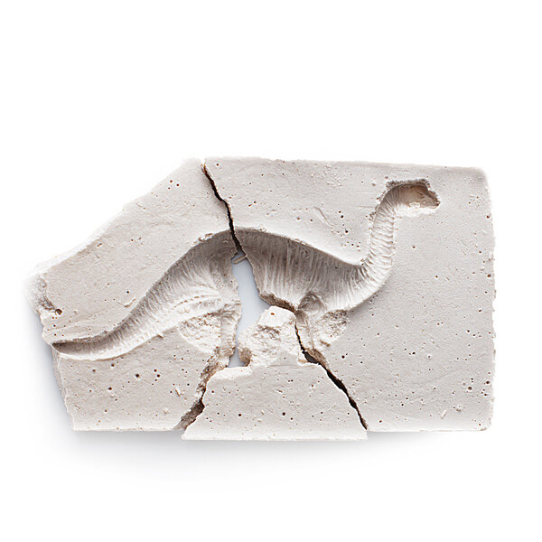 След мулажа окаменелых динозавров
