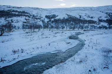 Arjantin Patagonya 'da karlı bir arazide dağ nehrinin panoramik manzarası