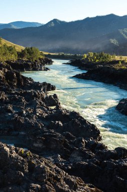 Dağ nehrinin güzel manzarası. Rusya, Altai manzarası. Dağlar ve kayalar