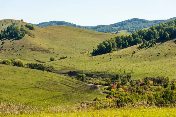 Yeşil çimleri, yolları ve ormanları olan güzel tepeler.