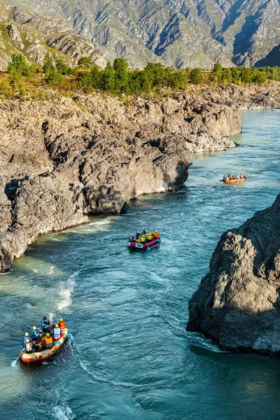 Dağ nehrinde rafting. Güzel doğa. Rusya, Altai 'de aktif dinlenme.