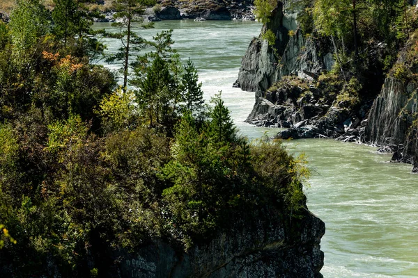 Rivière Mountain Rivages Rocheux Forêts Beau Paysage Été — Photo