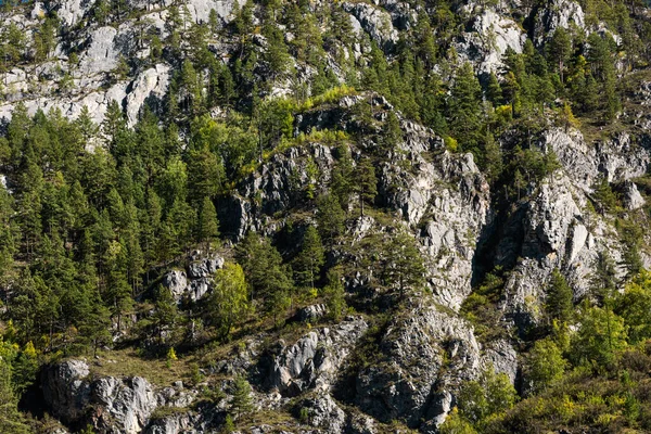 Mountain Background Cliff Face Trees Grass — Stock Photo, Image