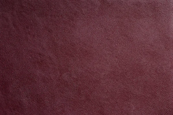 Dark Red Fine Texture Genuine Leather Natural Expensive Products — Stock Photo, Image