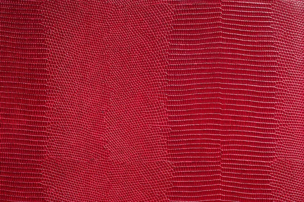 Texture Fine Rouge Cuir Serpent Produits Naturels Coûteux — Photo