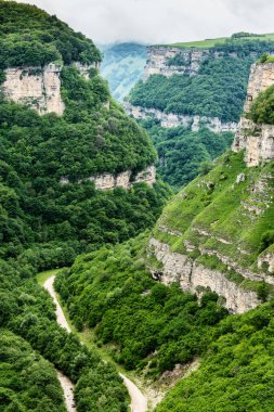 Altında orman ve nehir olan yeşil kanyon. Kayaların arkasındaki sisli bulutlar. Panoramik görünüm.