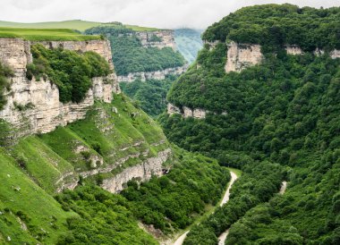Altında orman ve nehir, tepesinde düz çayır olan yeşil kanyon. Panoramik görünüm.