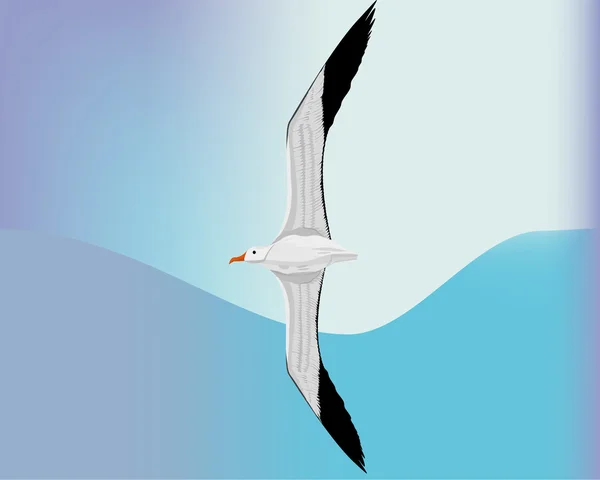 Albatross vogel vliegen in de lucht , — Stockvector